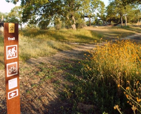 Hiking Shoreline Trail