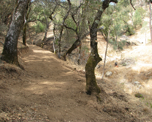 Moccasin Lake Trail